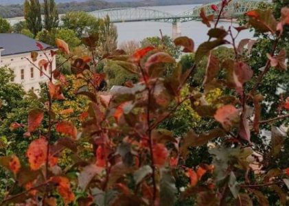 A legszebb őszi színek: inspiráció a természetből